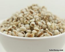 有机薏米和普通薏米 有机薏米什么牌子好