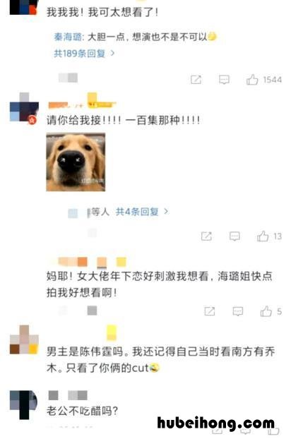秦海璐演的女老大 秦海璐电视剧