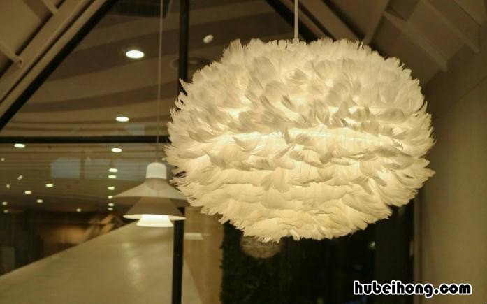 羽毛灯发黄了怎么清洗干净 羽毛灯发黄了怎么清洗视频