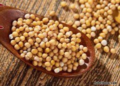 白芥子的功效和作用是什么 白芥子功效与作用是什么
