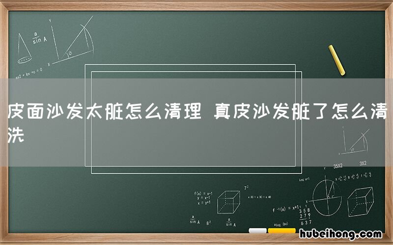 皮面沙发太脏怎么清理 真皮沙发脏了怎么清洗