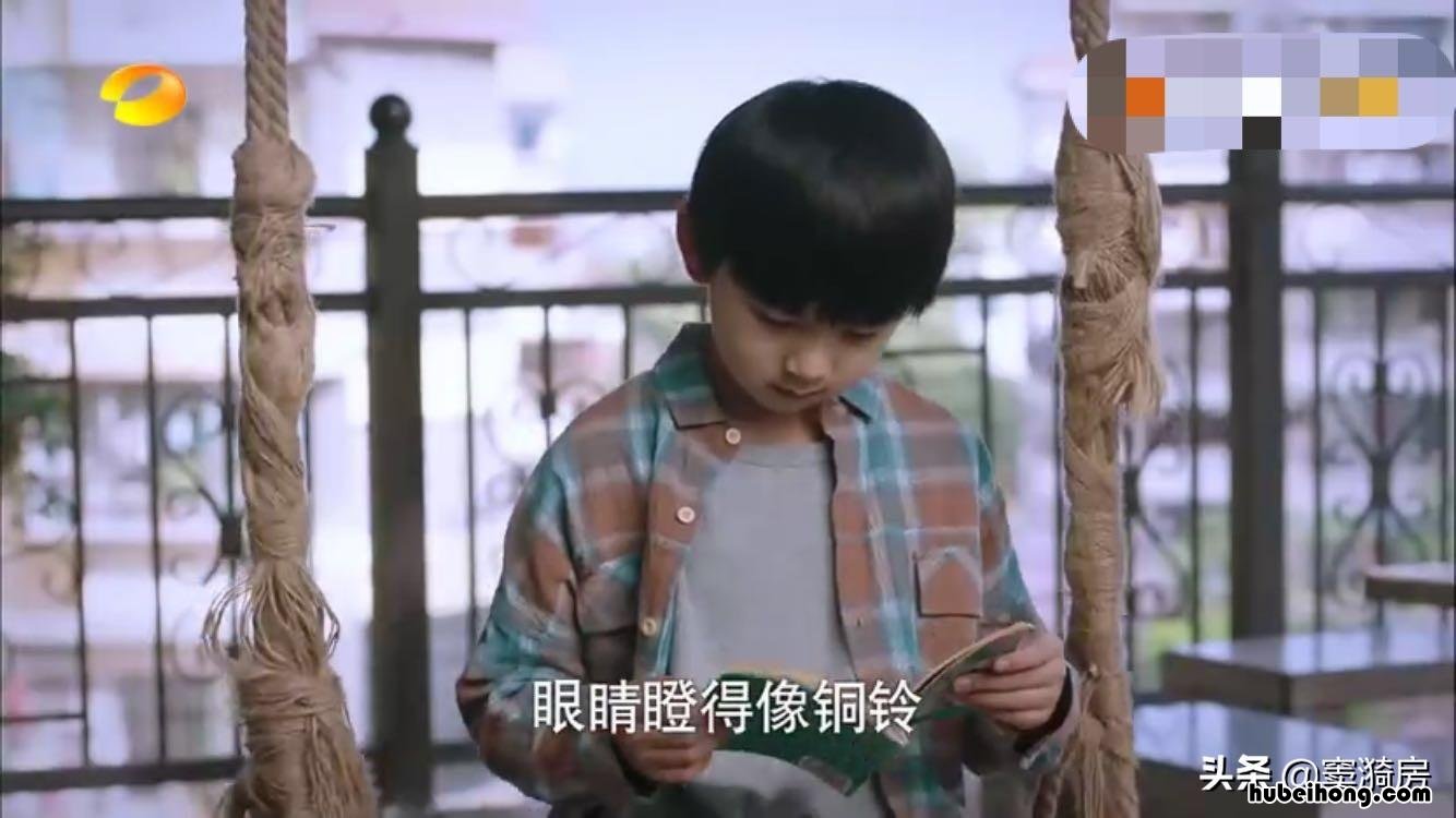 以家人之名凌霄和陈婷吵架 以家人之名凌霄去哪上大学了