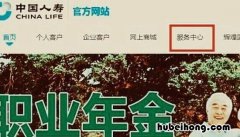 人寿车险怎么查询购买了什么险种 人寿车险在哪查保单