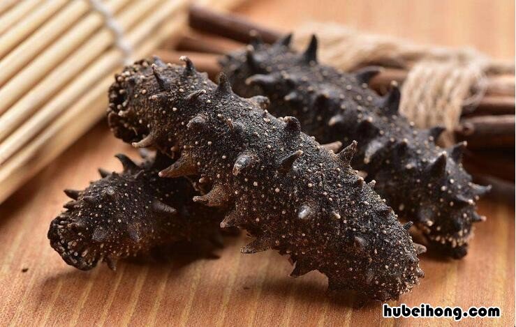 如何泡发干海参最好方法 如何泡发干海参视频