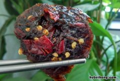 豆豉果做法是什么味道 豆豉果做法是什么样子的