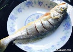 豆豉蒸黄鱼的做法大全窍门视频 豆豉蒸黄鱼的做法大全窍门图片