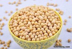 类黄酮食物排行榜有哪些