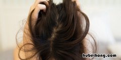 家里长头发怎么清理 家里掉头发怎么清理