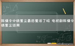 陈情令中晓星尘最后复活了吗 电视剧陈情令晓星尘结局