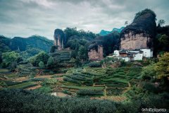 武夷山 名茶 福建武夷山茶叶介绍