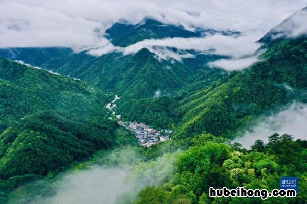 福建名山武夷山 武夷山遗产名录