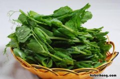 豌豆香菇的做法 香菇和豌豆尖可以一起吃吗