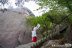 回忆录大别山上红旗飘 大别山上红旗飘在线阅读