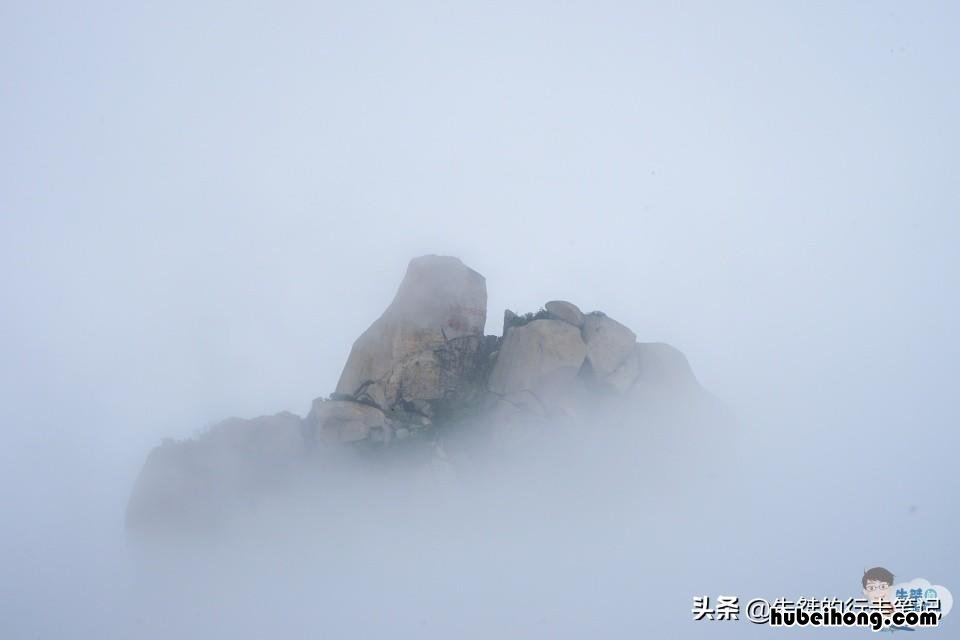 回忆录大别山上红旗飘 大别山上红旗飘在线阅读