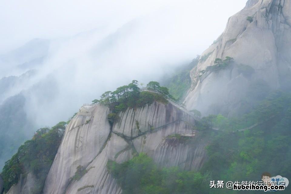 回忆录大别山上红旗飘 大别山上红旗飘在线阅读