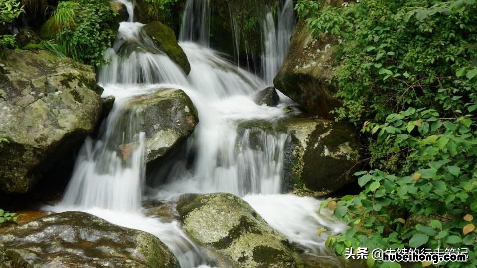 回忆录大别山上红旗飘 大别山上红旗飘在线阅读