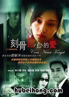 李小璐演的所有电视剧 李小璐饰演的电视剧有哪些?