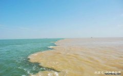 东营现在哪里好玩 东营旅游景点介绍东营有海吗