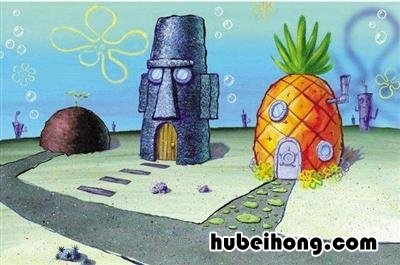 海绵宝宝动画片原型是什么 海绵宝宝动画片原型是谁