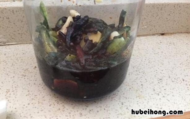 菠萝黄瓜怎么腌制好吃又脆 菠萝黄瓜怎么腌制好吃又简单