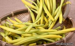 黄花菜可以冻冰箱吗怎么保存 黄花菜可以冻着吃吗