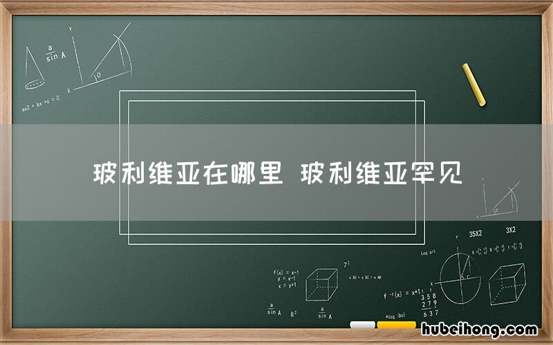 玻利维亚在哪里 玻利维亚罕见