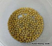 豆芽怎么种植方法 如何发豆芽又快又好