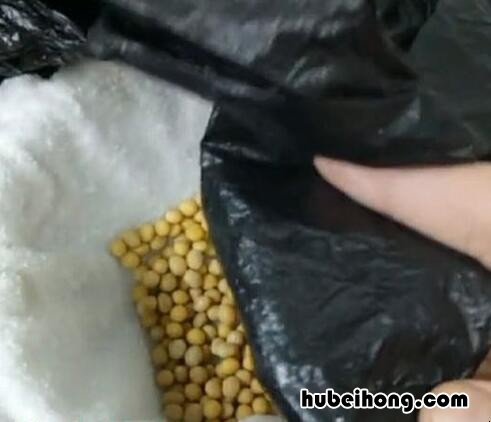 豆芽怎么种植方法 如何发豆芽又快又好