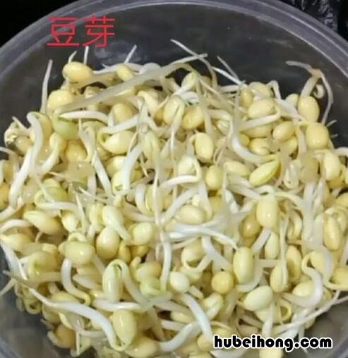 豆芽怎么种植方法 如何发豆芽又快又好