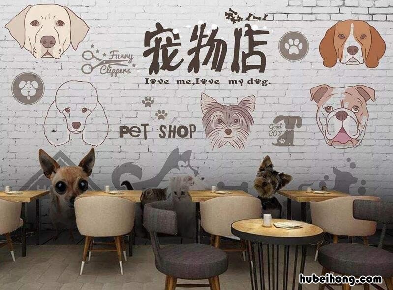 宠物店主要靠什么盈利 宠物店赚钱吗?