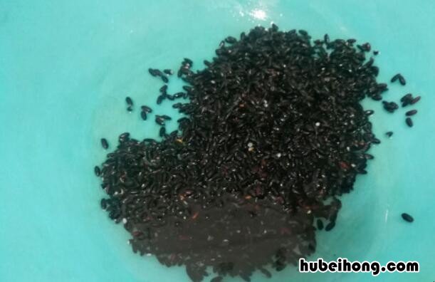 黑米饭怎么蒸又香又糯窍门 黑米饭怎么蒸才好吃