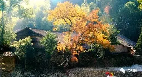 温州景点排行榜前十名 温州十景必游景点