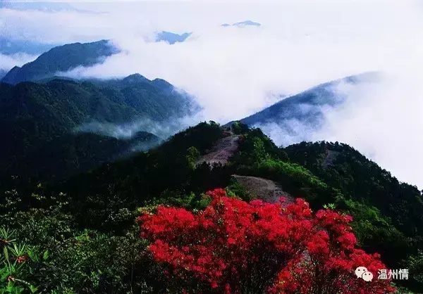 温州景点排行榜前十名 温州十景必游景点