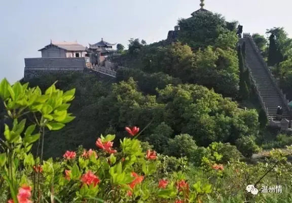 温州景点排行榜前十名 温州十景必游景点