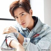 海岩的男演员 海岩捧红的男明星是谁