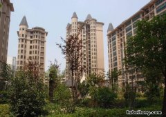房子后面种什么树最好 房屋周边种什么树好