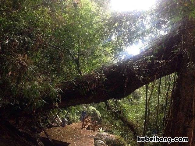 中国旅游地图全图可放大高清 中国旅游地图 景点