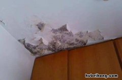 房顶漏水室内怎么处理好 房顶漏水室内怎么处理最好