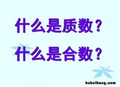 251是质数吗? 哪些是质数