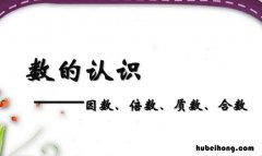 25的因数有哪些有几个 25的因数有哪些数从小到大排序呢