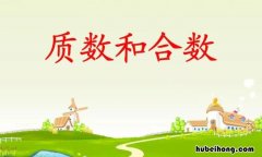 什么是质数什么是合数什么是奇数什么是偶数 什么是质数什么是合数什么是奇数的概念