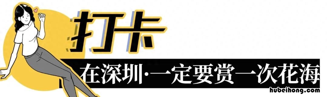 去深圳必去的景点推荐 去深圳必须要去的景点