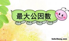 4和8最大的公因数和最小的公倍数 4和8的最大公因数是几最小公倍数是几