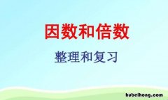 50的因数有哪些数 50的因数有哪些数从小到大