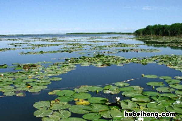 青海湖是中国最大的内陆湖泊,面积超过400000 青海湖是中国最大的内陆湖泊吗