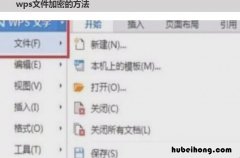 wps文件怎么加密 wps文件可以加密么