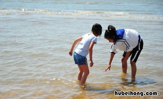 北戴河南戴河东戴河地图 南戴河 北戴河 东戴河