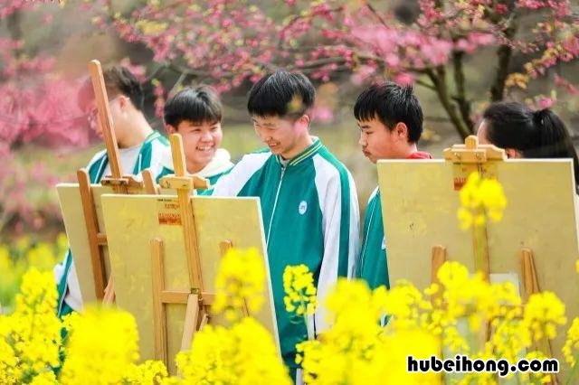 海边的油菜花田 金灿灿的油菜花田