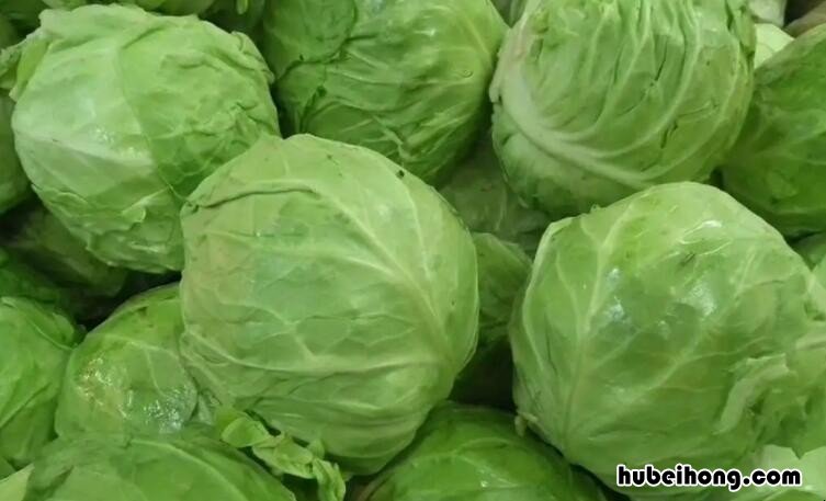 包菜能放进冰箱吗 包菜能放冰箱里吗多久能吃