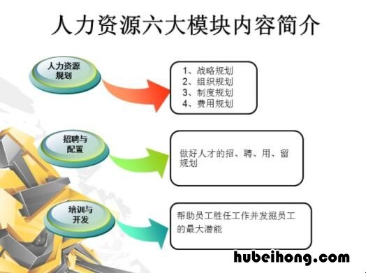 hr六大模块哪个最重要 hr六大模块细分